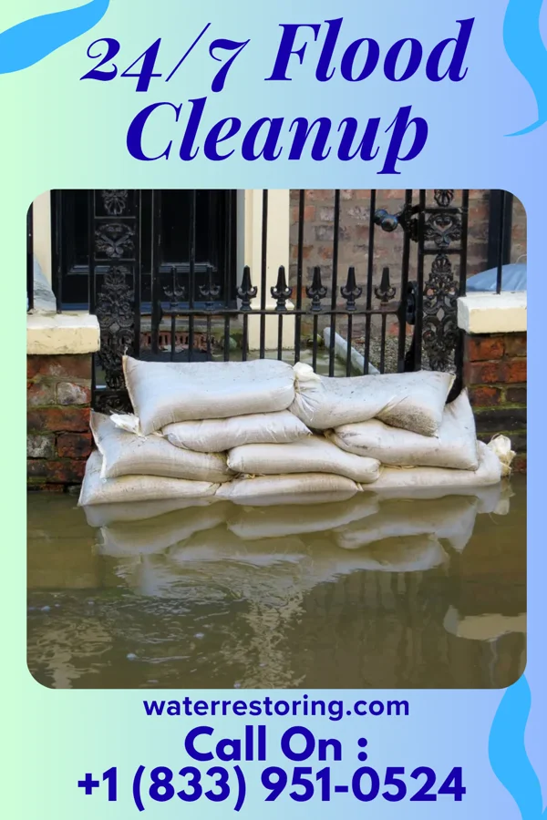 24/7 Flood Cleanup in Lake Holm, WA