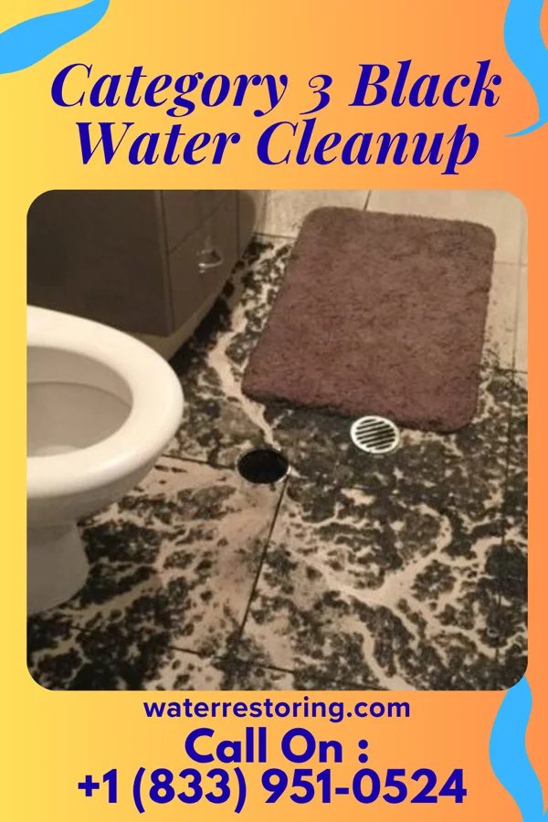Category 3 Black Water Cleanup in Lake Holm, WA