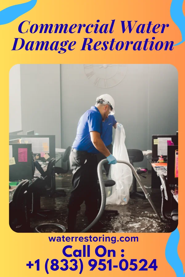Commercial Water Damage Restoration in Lake Holm, WA