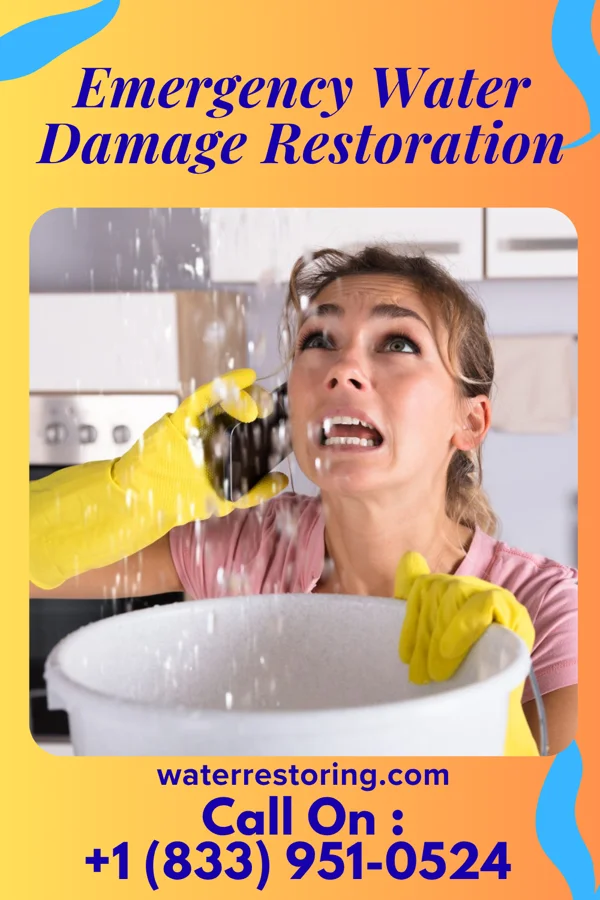 Emergency Water Damage Restoration in Lake Holm, WA