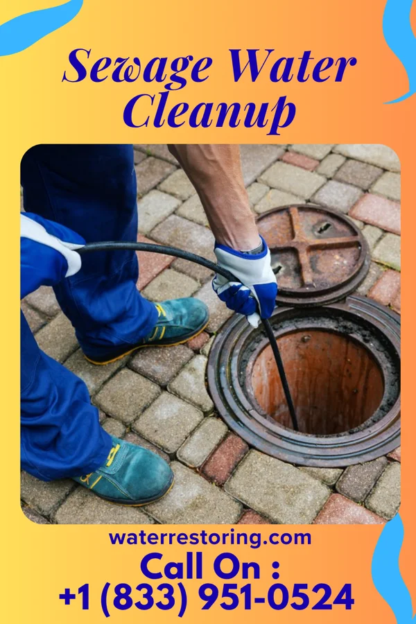 Sewage Water Cleanup in Lake Holm, WA